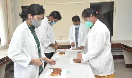 Skill Lab and Simulation Laboratory